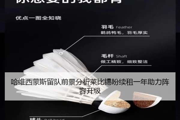 哈维西蒙斯留队前景分析莱比锡盼续租一年助力阵容升级