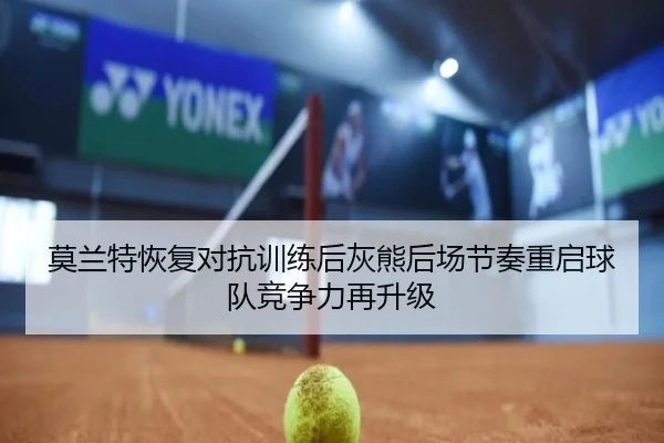 莫兰特恢复对抗训练后灰熊后场节奏重启球队竞争力再升级